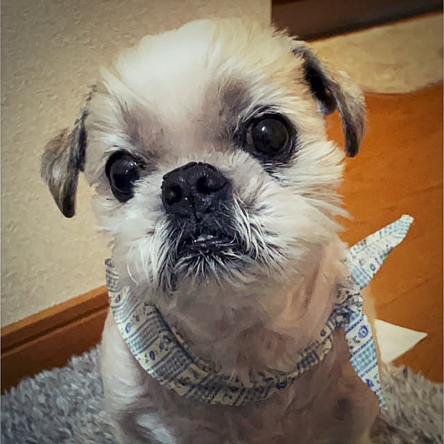 lenkaさんの実例写真