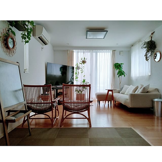 部屋全体/観葉植物のある暮らしのインテリア実例 - 2023-07-23 20:51:11