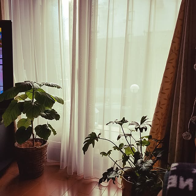 yuiさんの実例写真