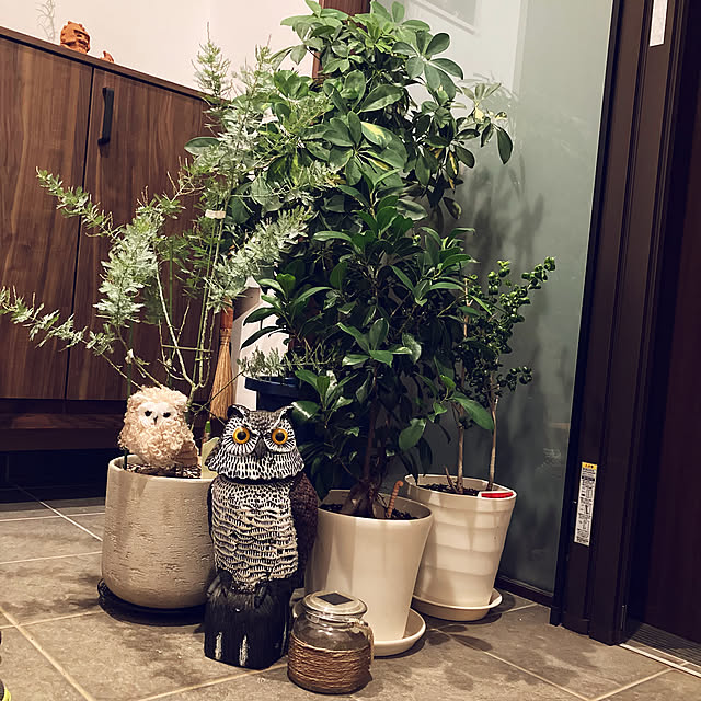 mkmkmoominさんの実例写真
