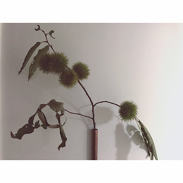 sot1127さんの実例写真