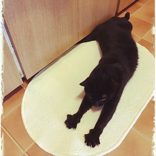 shigimiさんの実例写真