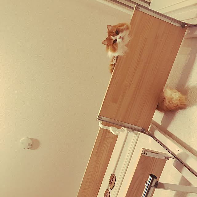 H.Tさんの実例写真