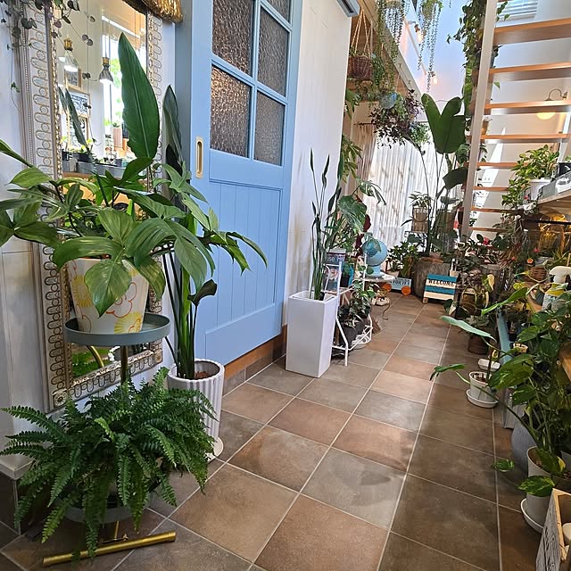 nonbiri_house_さんの実例写真