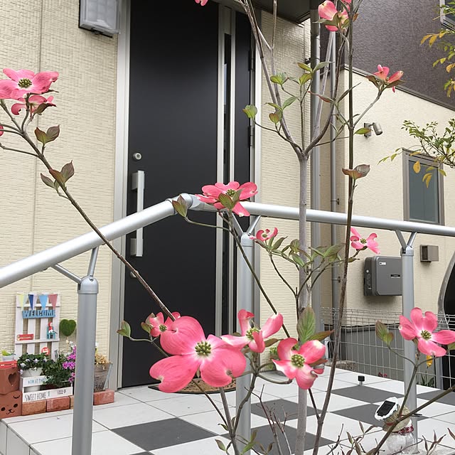 kou.askさんの実例写真