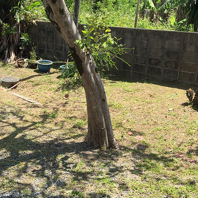 fusaさんの実例写真