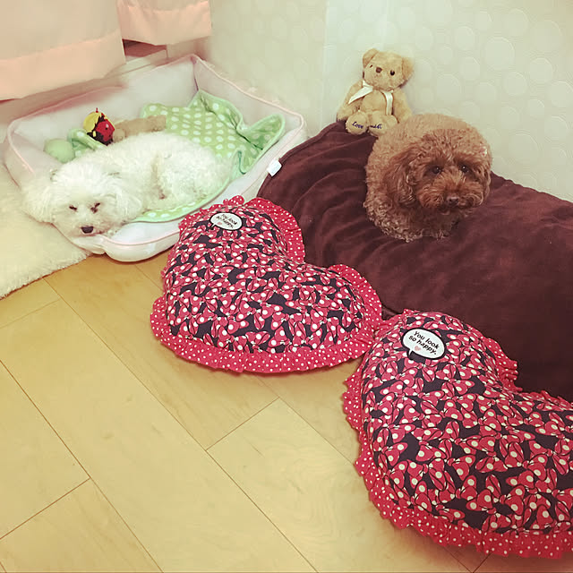 nonさんの実例写真