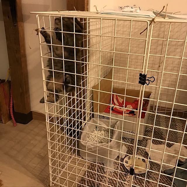 miruさんの実例写真