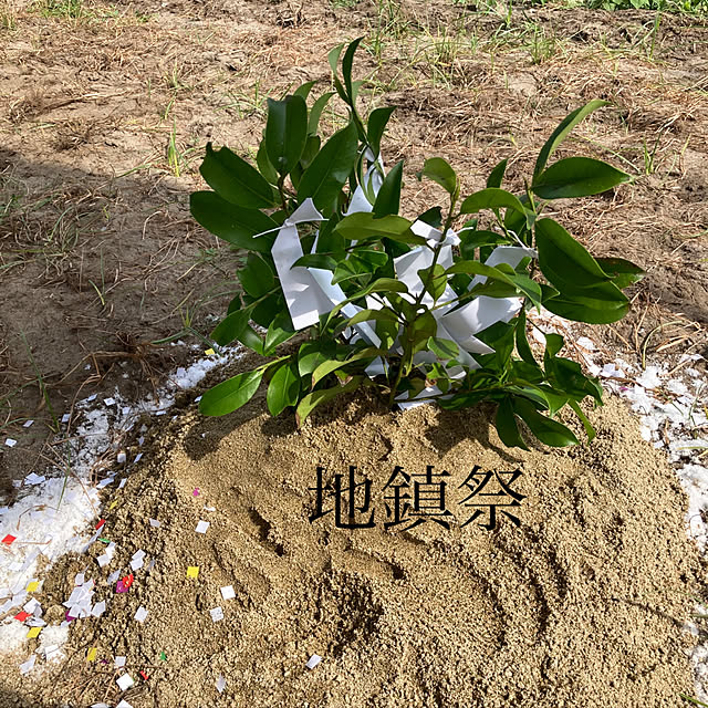 hira_muji_mihiさんの実例写真