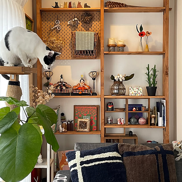 nobikoさんの部屋