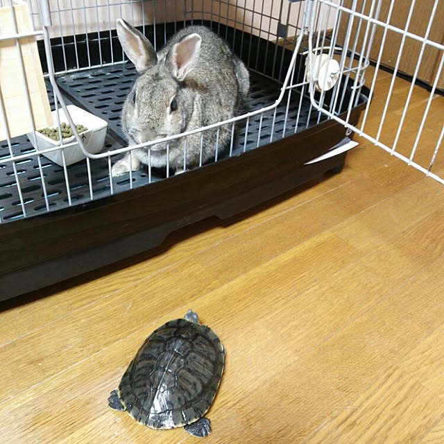hiroさんの実例写真