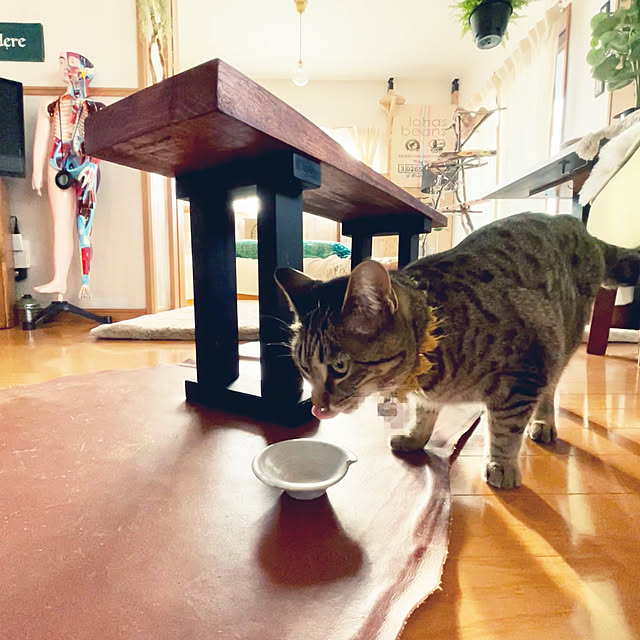 Mさんの実例写真