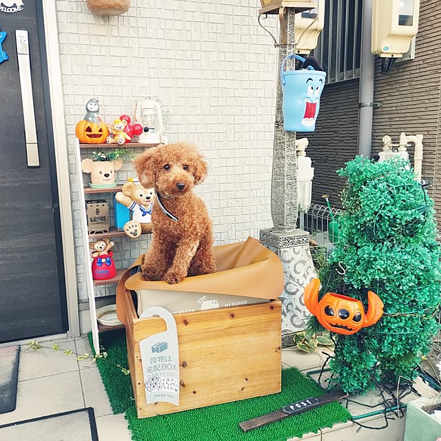 hamichanさんの実例写真