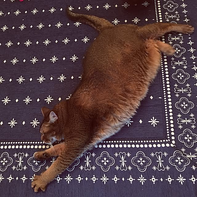 muuさんの実例写真