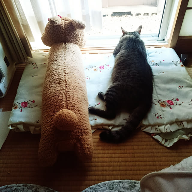 lilyさんの実例写真