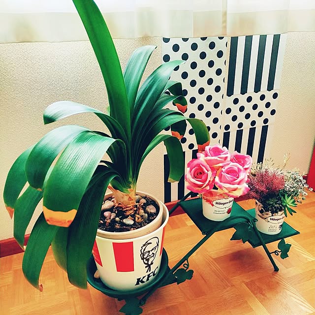 AllMeさんの実例写真
