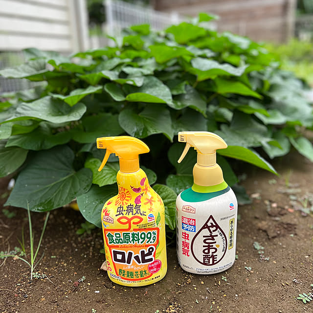 hamuさんの部屋