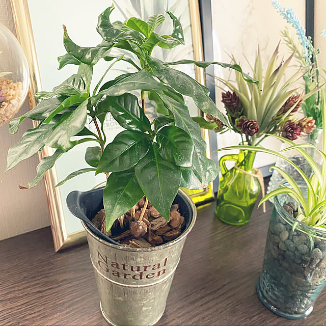 kanaさんの部屋