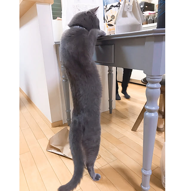 guriさんの実例写真
