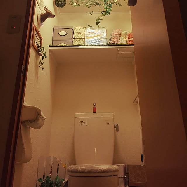 npnさんの実例写真