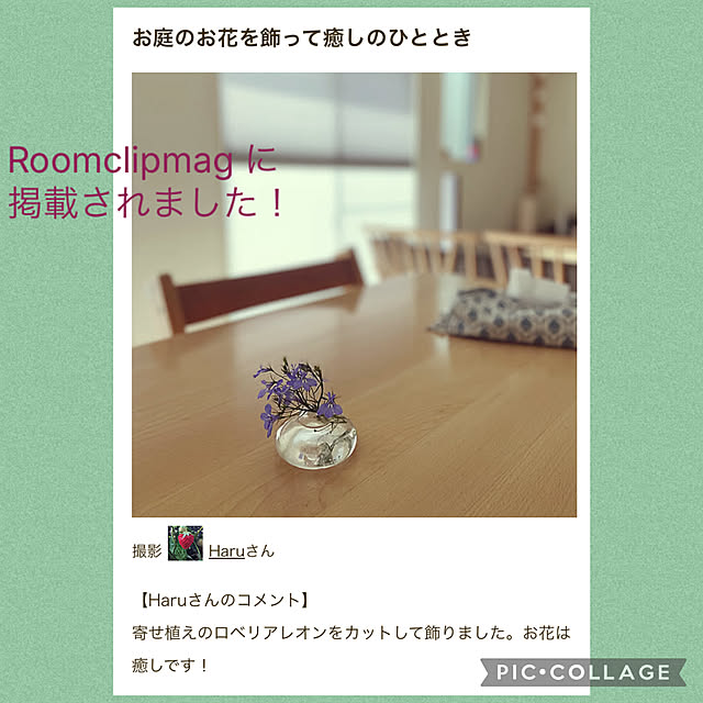 実例写真