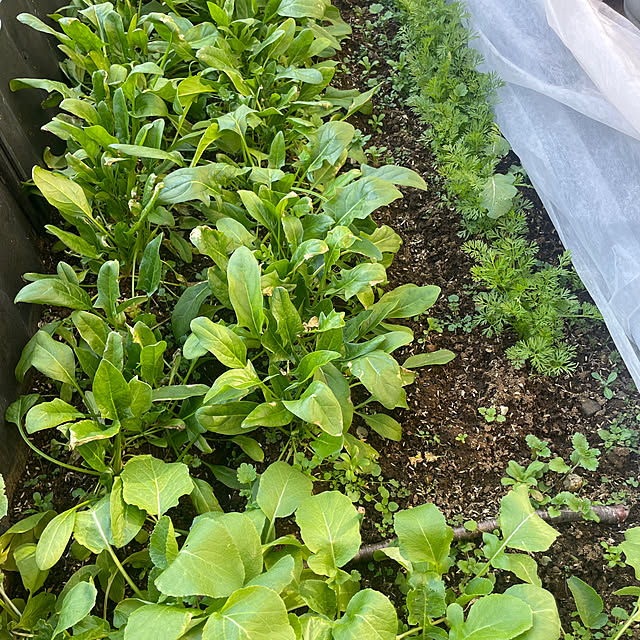 yunroomさんの実例写真