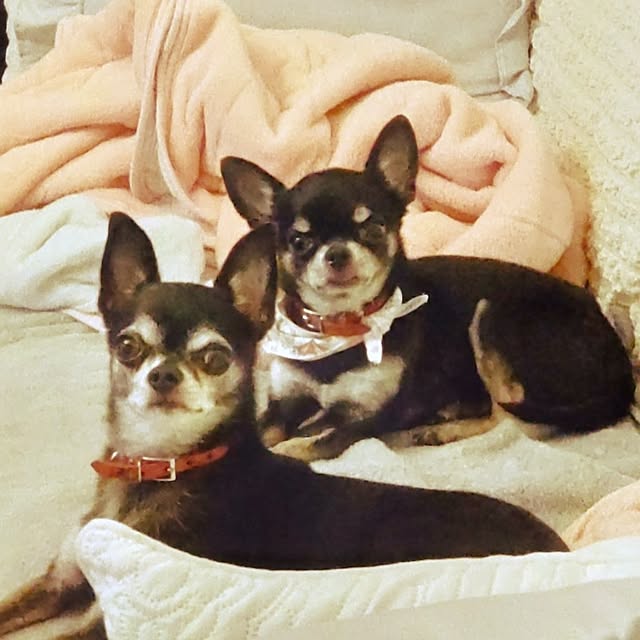 Bienvenueさんの部屋