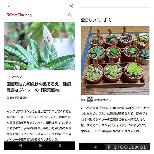 yumiyumiさんの実例写真