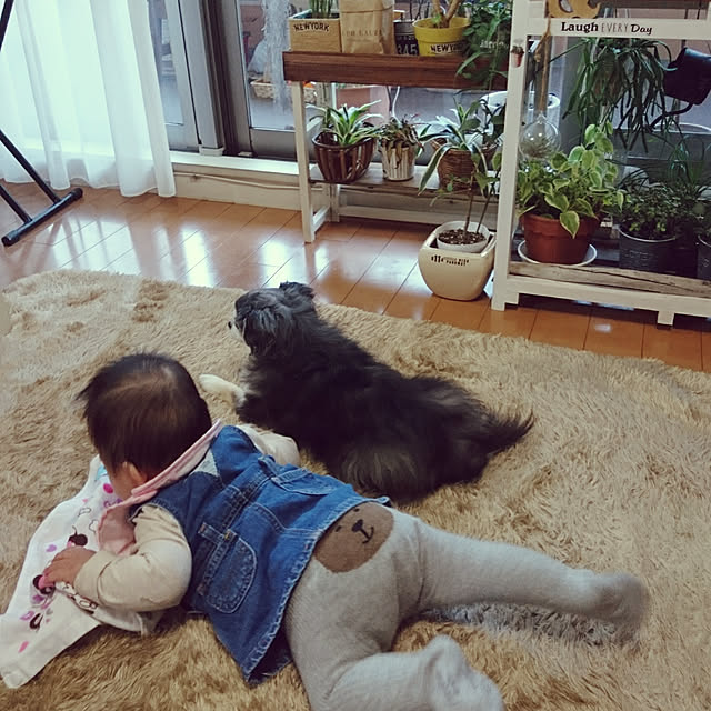 satominさんの実例写真