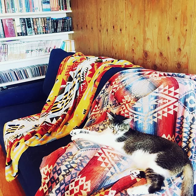 shino0916さんの実例写真