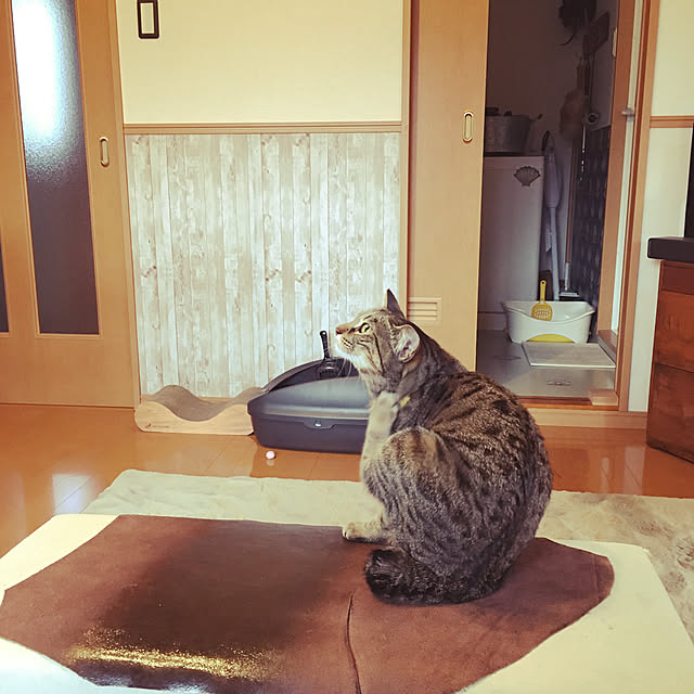 Mさんの実例写真