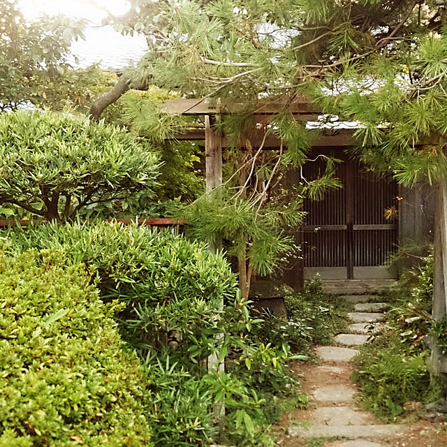 kosuke_specialさんの実例写真