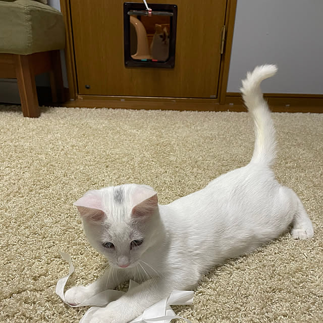 keiさんの実例写真