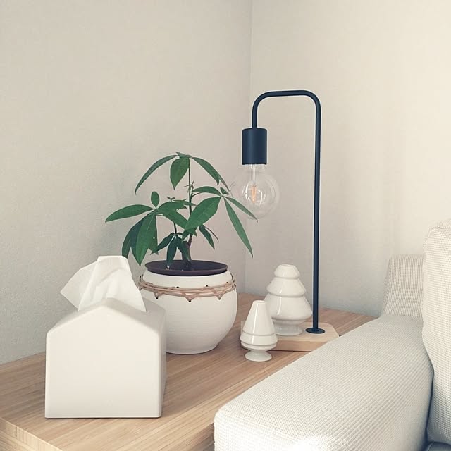 tan5さんの実例写真