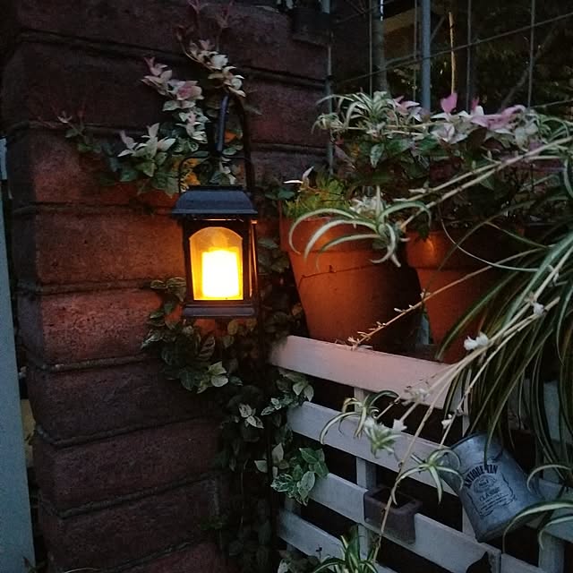 midoriさんの部屋
