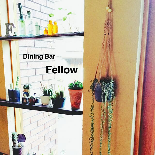 Fellowさんの実例写真