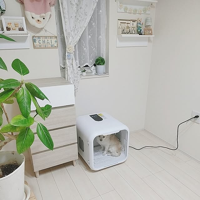 PAOさんの部屋