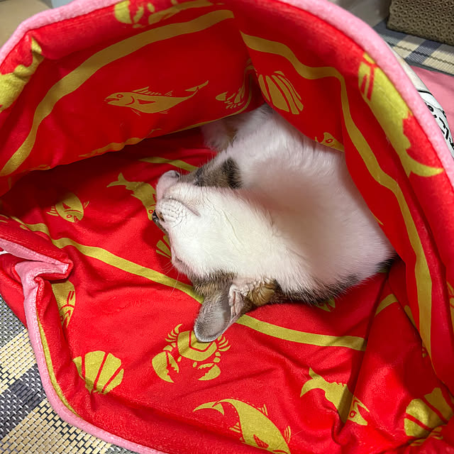 kuntaさんの部屋
