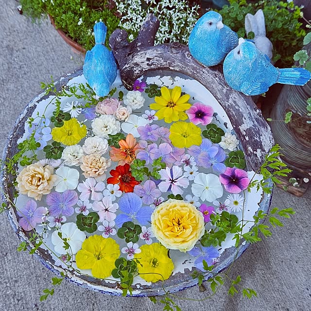 mocomocoさんの実例写真
