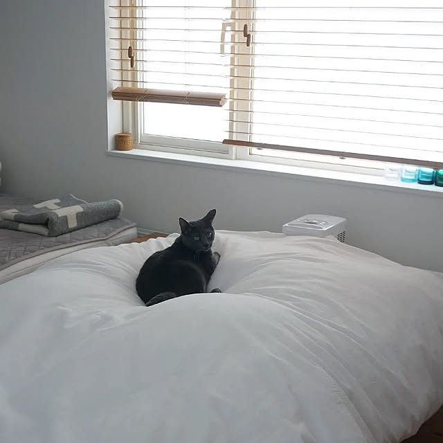 shima_shimaさんの実例写真