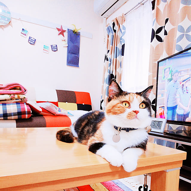 maroさんの実例写真