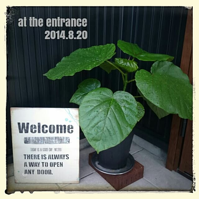 makotoさんの実例写真