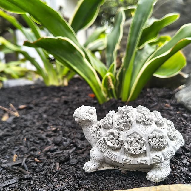 Rubiconさんの部屋