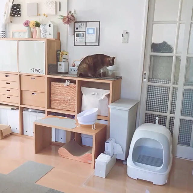 Emiさんの実例写真