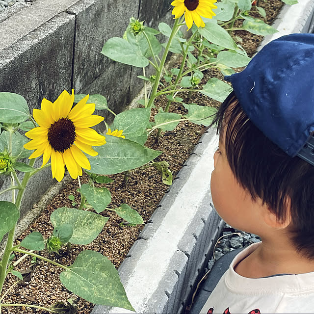 Leomamさんの実例写真