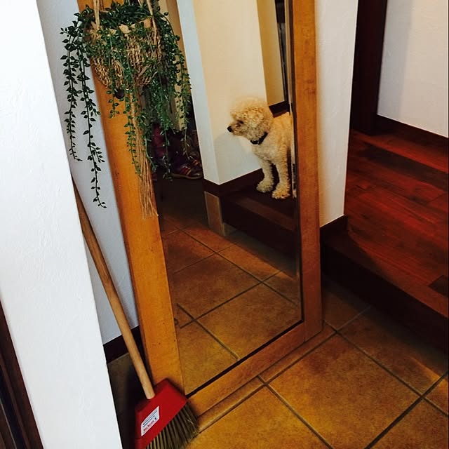 MILKさんの実例写真