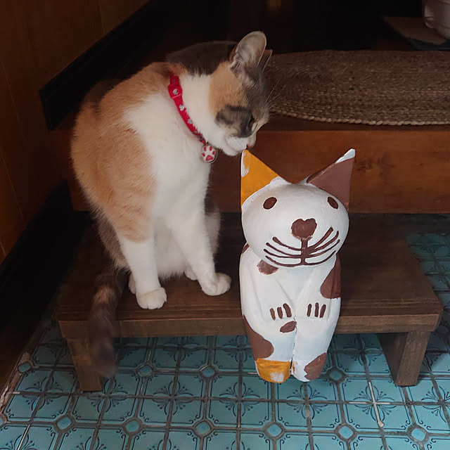 fukuさんの実例写真