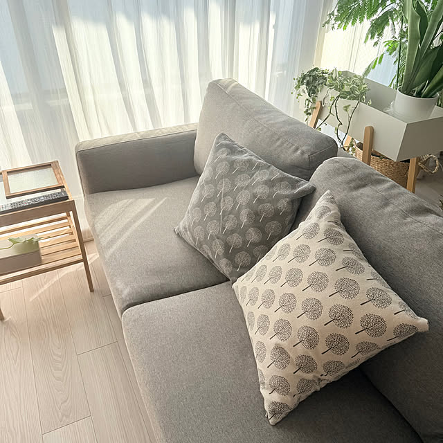 kokedamaさんの部屋