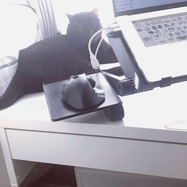 Ellさんの実例写真