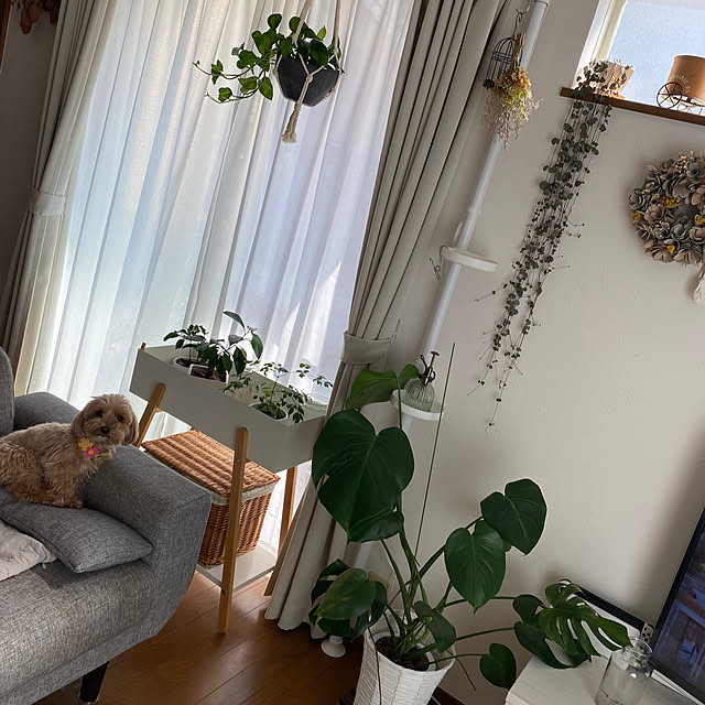 zuccoさんの部屋